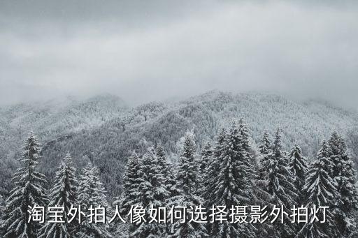 熱靴燈功率怎么樣，淘寶外拍人像如何選擇攝影外拍燈...